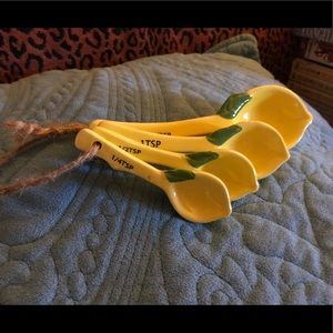 Cutest lemon measuring spoons ever!!!
